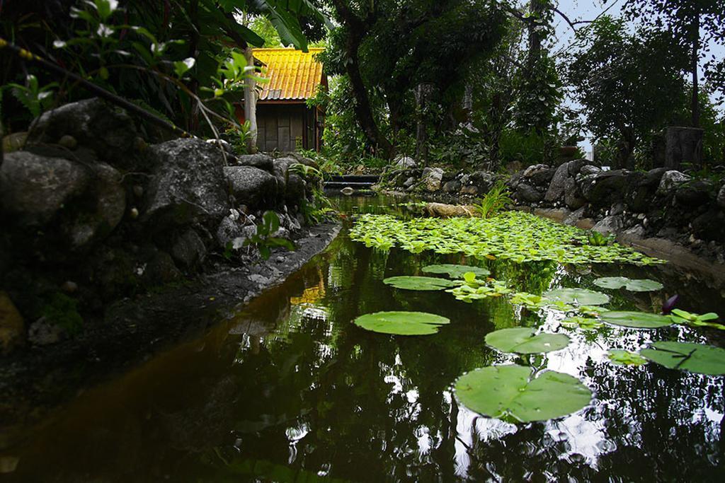 Areeya Phuree Resort Thaton Mae Ai Bagian luar foto